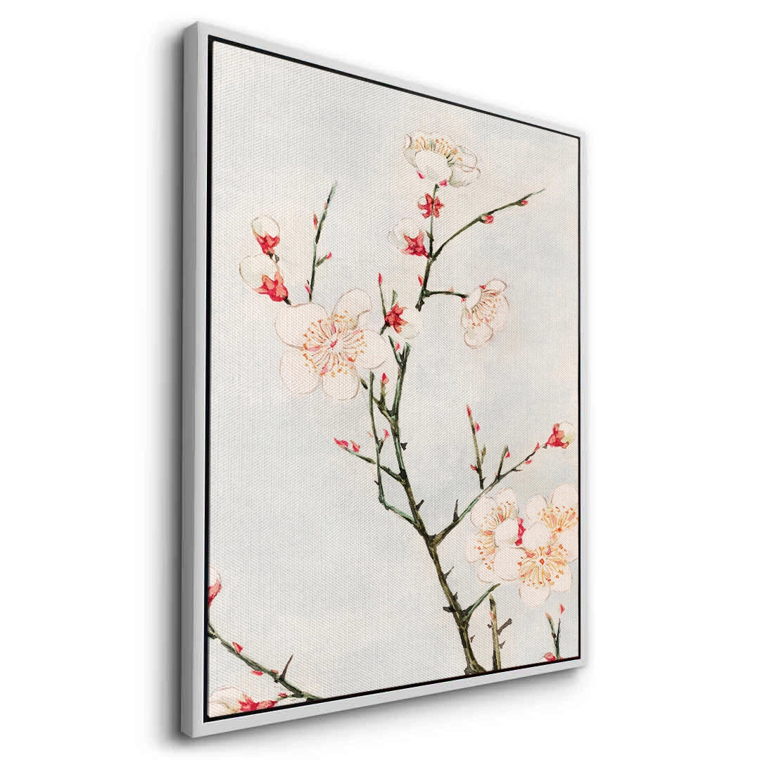 2White Plum Blossoms - Canvas