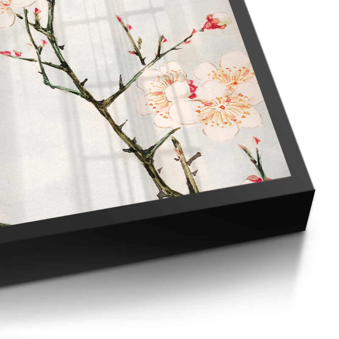 2White Plum Blossoms - Fine Art