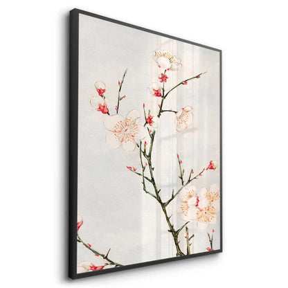 White Plum Blossoms - Fine Art