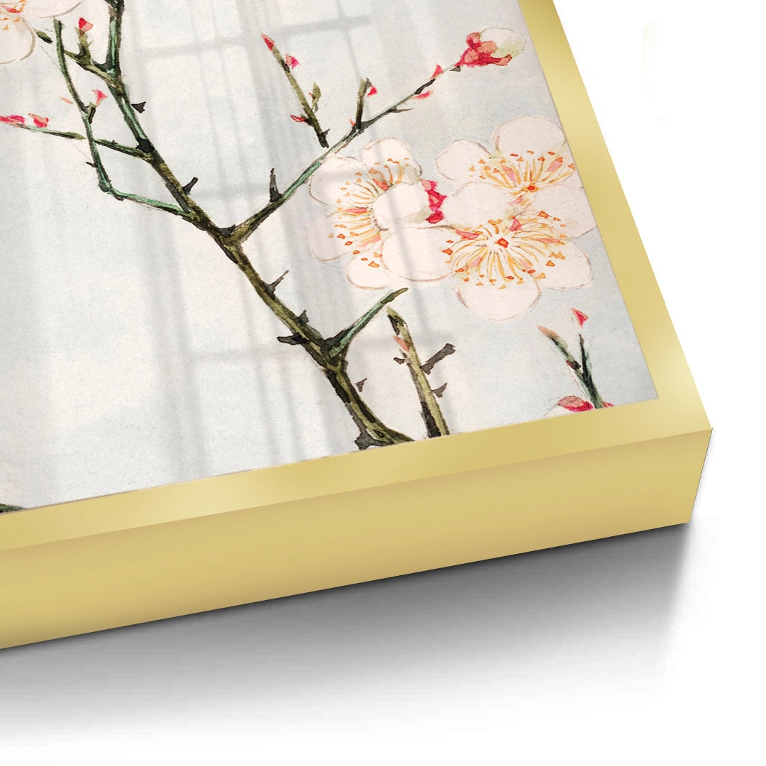 2White Plum Blossoms - Fine Art