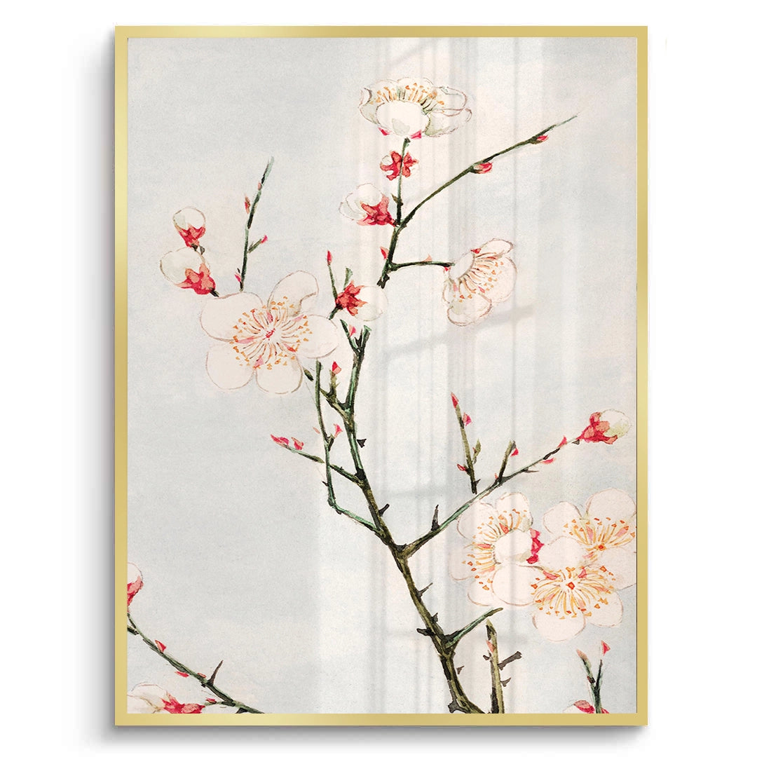 2White Plum Blossoms - Fine Art