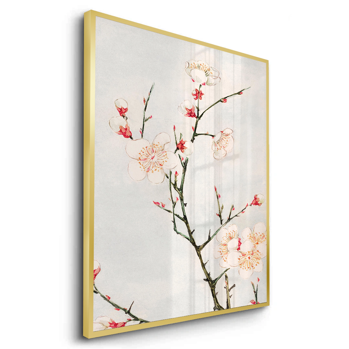 White Plum Blossoms - Fine Art