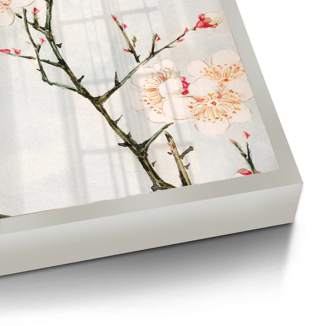 2White Plum Blossoms - Fine Art