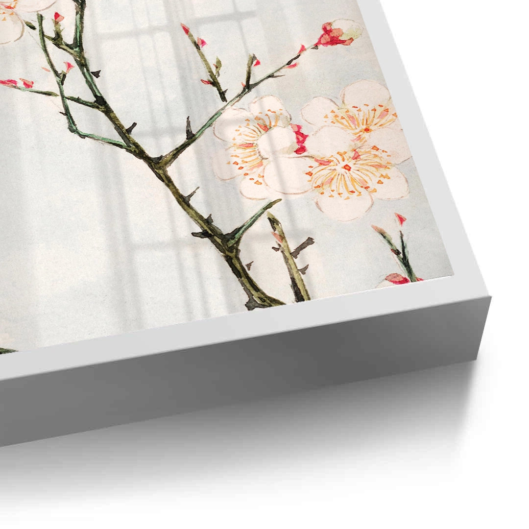 2White Plum Blossoms - Fine Art