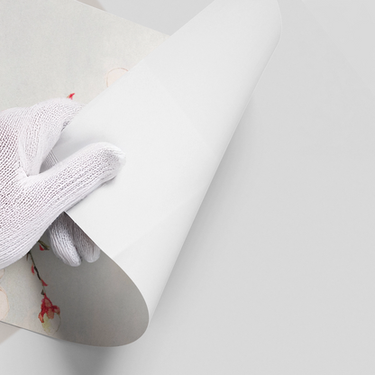 White Plum Blossoms - Poster