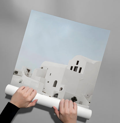 Whitewashed - Poster