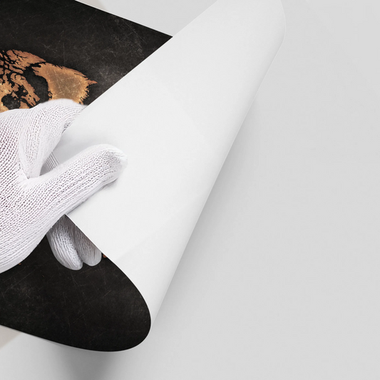 World map texture - Poster