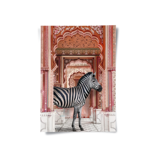 Zebra in an Indian Palace - Poster