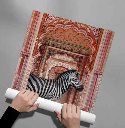 Zebra in an Indian Palace - Poster