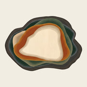 Stone Pool hand-tufted rug in Forest Ember – flat lay