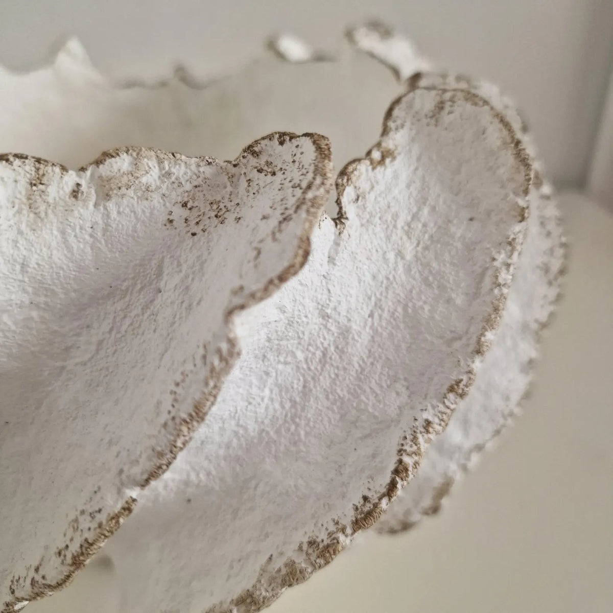 Seafoam Shell Handmade Sculptural Vessel – White, Eco Paper (5)